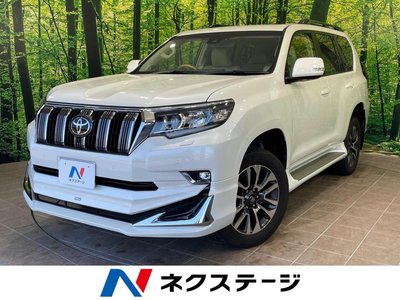 2022 Toyota LAND CRUISER PRADO 照片 1