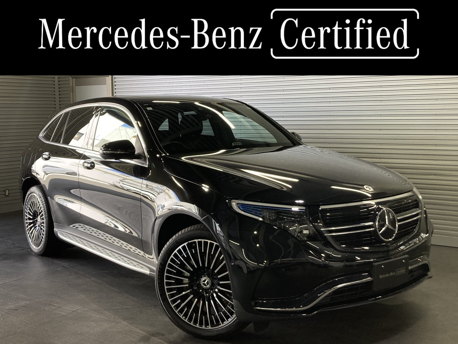 MERCEDES-BENZ EQC - View 1