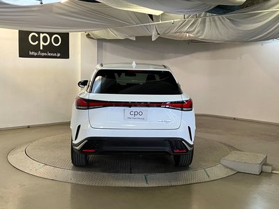 LEXUS RX - 10