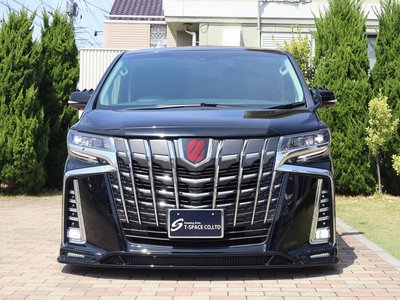TOYOTA ALPHARD - 8