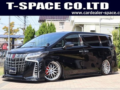 TOYOTA ALPHARD - 1