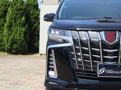 TOYOTA ALPHARD - 9