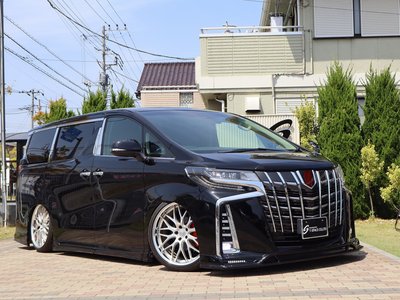 TOYOTA ALPHARD - 3