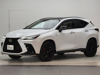 LEXUS NX - 10