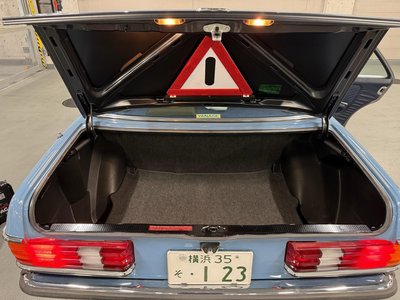 1982 Mercedes-BENZ MEDIUM-CLASS 照片 8