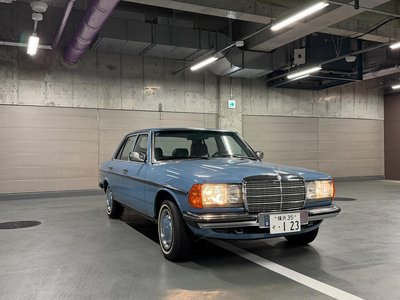 1982 Mercedes-BENZ MEDIUM-CLASS 照片 44