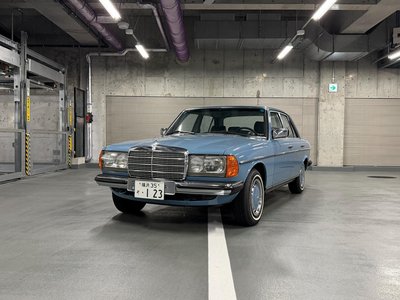 1982 Mercedes-BENZ MEDIUM-CLASS 照片 61