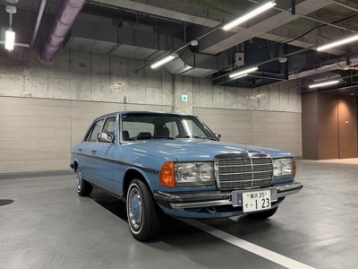 1982 Mercedes-BENZ MEDIUM-CLASS 照片 48