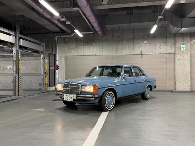 1982 Mercedes-BENZ MEDIUM-CLASS 照片 53
