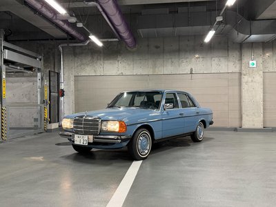 1982 Mercedes-BENZ MEDIUM-CLASS 照片 52