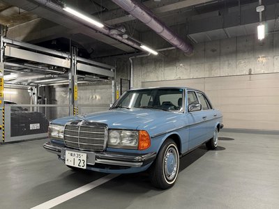1982 Mercedes-BENZ MEDIUM-CLASS 照片 47