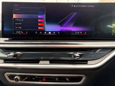 صورة مصغرة 32 لـ 2025 BMW X5