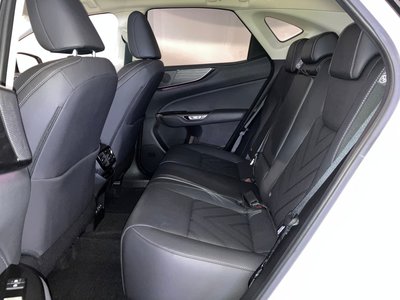 2023 Lexus NX 缩略图 12