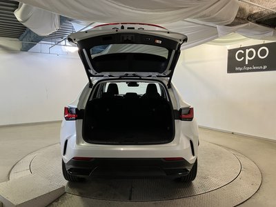 2023 Lexus NX 缩略图 20