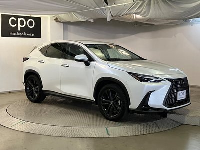 صورة 10 لـ 2023 Lexus NX