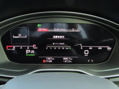 2025 AUDI SQ5 SPORTBACK 缩略图 50