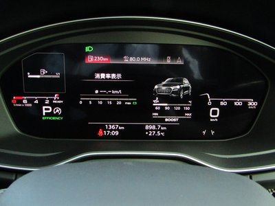 2025 AUDI SQ5 SPORTBACK 缩略图 49