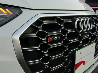 2025 AUDI SQ5 SPORTBACK 缩略图 31