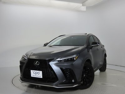 LEXUS NX - 6