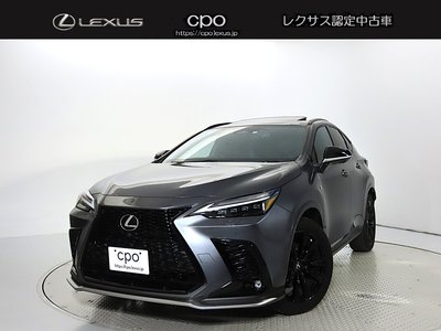 LEXUS NX - 1