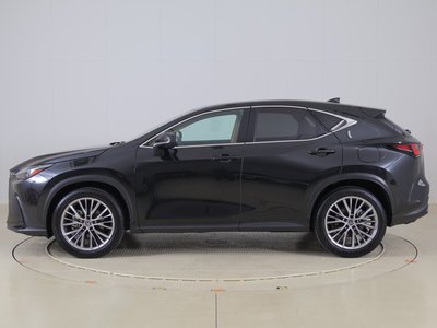 2023 Lexus NX 照片 3