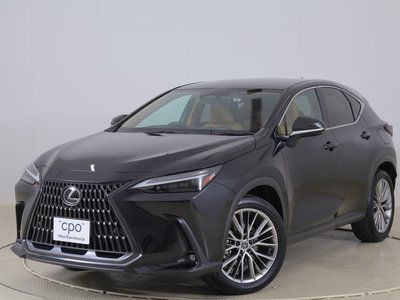 2023 Lexus NX 照片 1