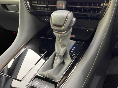 2025 TOYOTA ALPHARD 缩略图 31