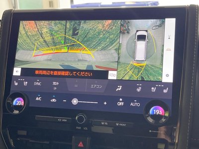 2025 TOYOTA ALPHARD 照片 6