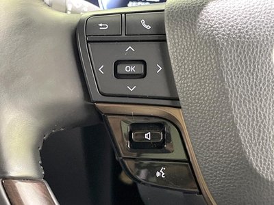 2025 TOYOTA ALPHARD 缩略图 27