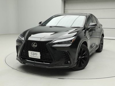 LEXUS NX - 1