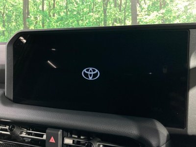 TOYOTA LAND CRUISER 250 - 3