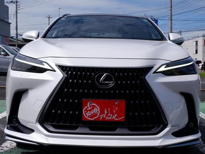 LEXUS NX - 2
