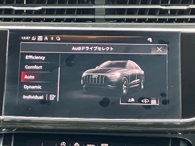 صورة مصغرة 63 لـ 2025 AUDI Q8
