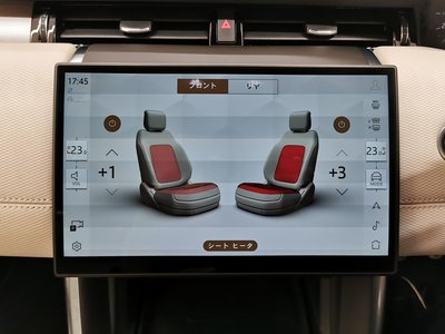 2025 LAND Rover DISCOVERY SPORT — миниатюра 11