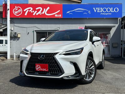 LEXUS NX - 1
