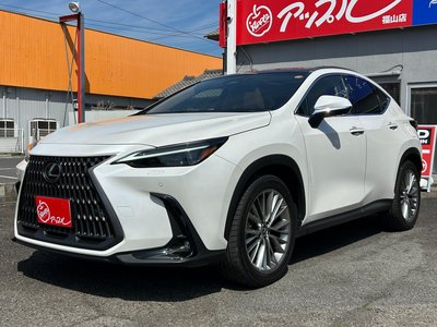 LEXUS NX - 2