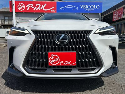 LEXUS NX - 6