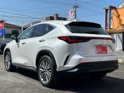 LEXUS NX - 5
