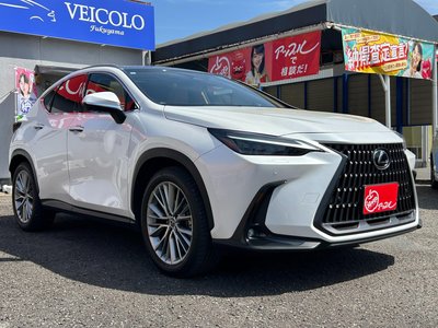 LEXUS NX - 3