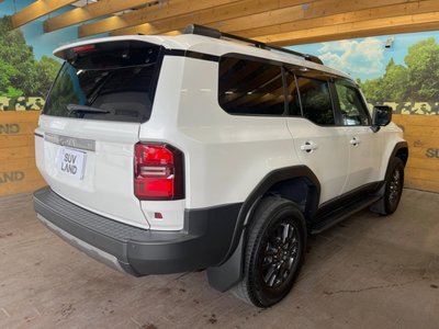 2024 Toyota LAND CRUISER 250 缩略图 17