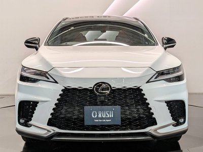 2023 Lexus RX — фото 10