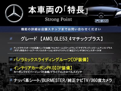 2021 Mercedes-BENZ GLE AMG 照片 3