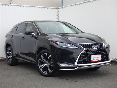 LEXUS RX - 6