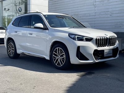 2025 BMW X1 缩略图 33