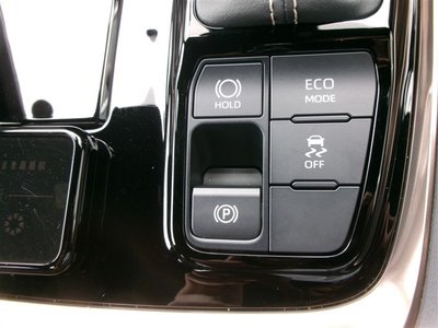 2024 Toyota ALPHARD thumbnail 15