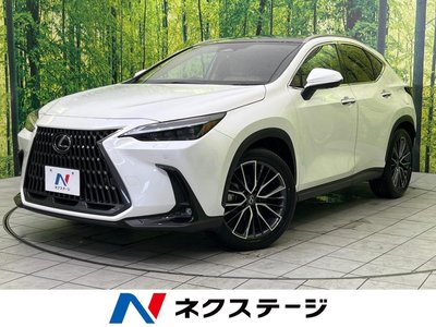 LEXUS NX - 1