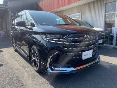 TOYOTA ALPHARD - 3