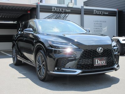 2025 Lexus RX — миниатюра 19