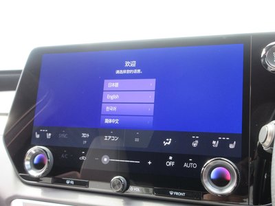 2025 Lexus RX — миниатюра 48