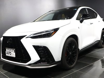 LEXUS NX - 1